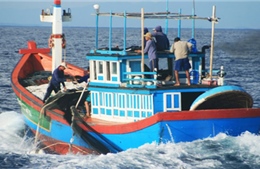 Ngư dân Quảng Nam không một ngày xa biển 
